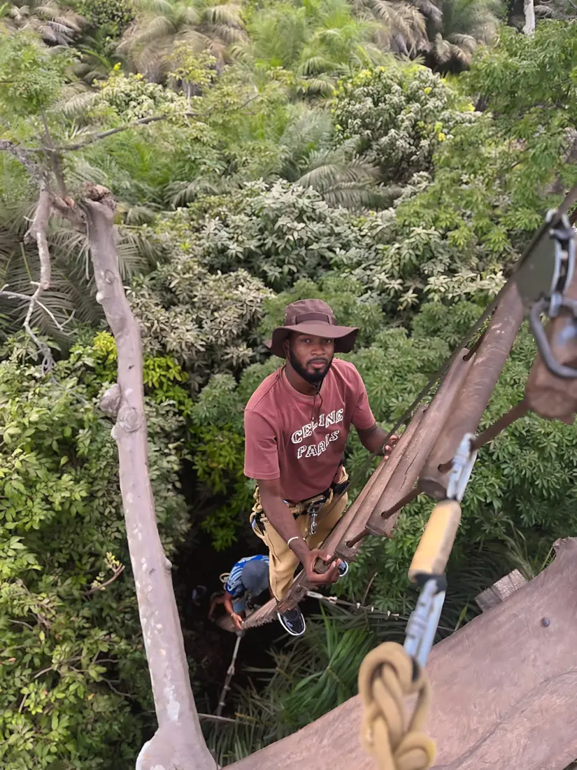 Voyageur grimpant à une échelle dans un grand arbre au-dessus de la forêt